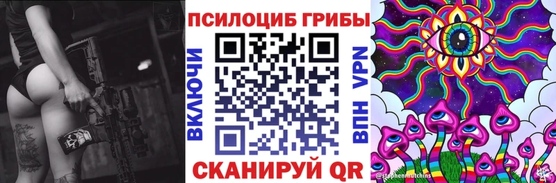 Псилоцибиновые грибы мицелий  наркота  Олонец 